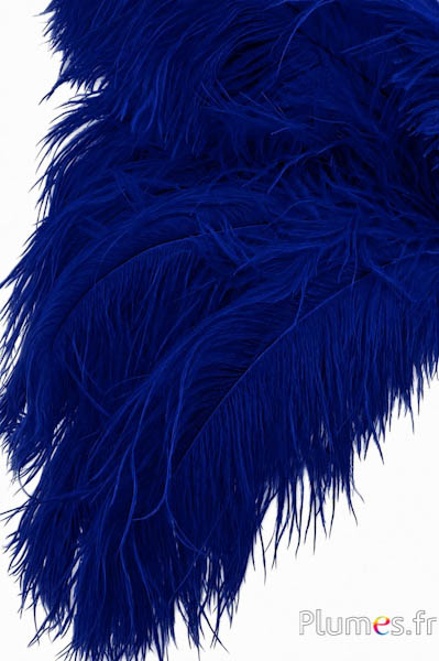 Struisvogel - 30-40 cm - donkerblauw